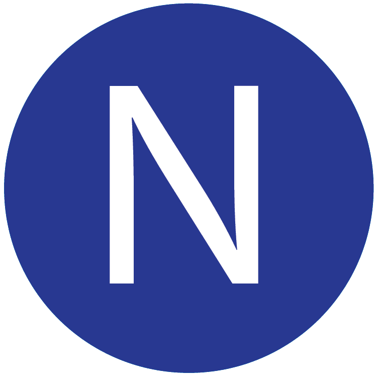 N Google Logo